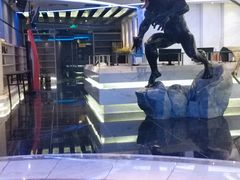 -飞扬影城(正佳IMAX店)