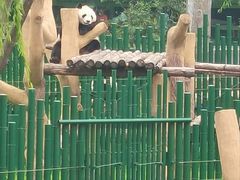 -沈阳森林动物园
