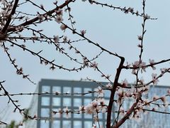 -北京明城墙遗址公园