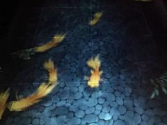 8餐厅-8餐厅(新葡京酒店)