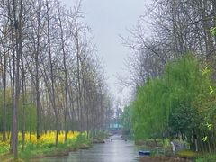 -合肥滨湖国家森林公园