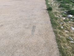 -汉长安城未央宫国家考古遗址公园