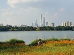 -海珠湖公园