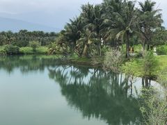 -七星潭蓝天广场