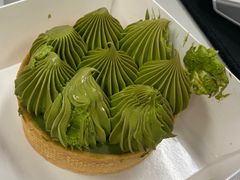 -猫里有甜