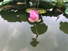 -中国农业博物馆