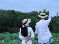 -福建鲤鱼洲酒店