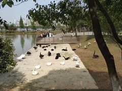 -艾溪湖湿地公园