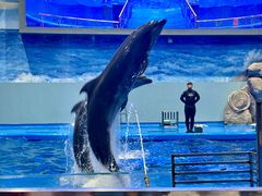 -福州罗源湾海洋世界旅游区