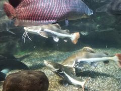 -太平洋海底世界