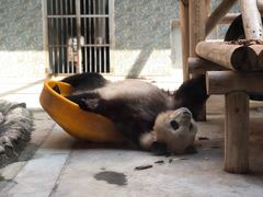 -西安秦岭野生动物园