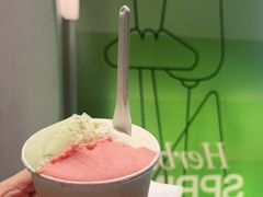 -Dip in Gelato(富民路店)