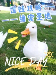 -欢乐舟·舟舟玩乐园