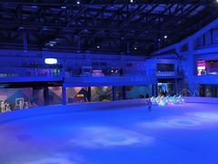 -西安银基冰雪世界