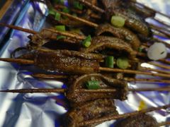 鳝鱼-晓靖轩烧烤(沙河风情店)