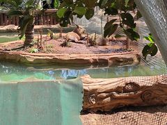 -海南热带野生动植物园