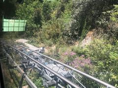 -苍山感通索道