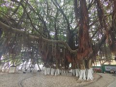 -胡里山炮台