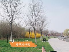 -天津东丽湖风景区