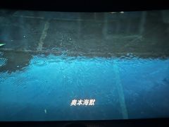 -万达影城(南昌红谷滩IMAX激光店)