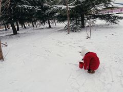 -济南国际园博园