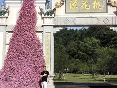 -常德桃花源景区