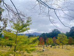 -塔川景区