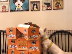 -多卡布奇宠物生活馆(上林世家店)