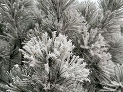 -兴芮温泉度假区