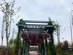 -上海浦江郊野公园-2号停车场