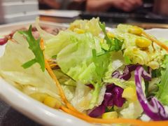 蔬菜沙拉-神户赤童日式烤肉伙伴(东直门店)