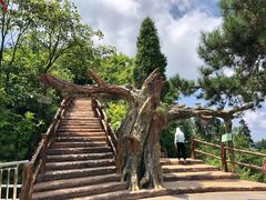 -塔云山