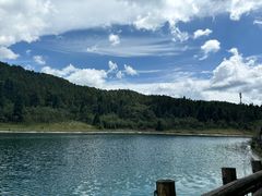 -武陵山森林公园