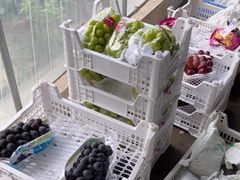 -马陆小张葡萄园农家乐