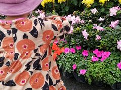 -东南花都花博园
