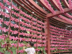 -广州神农草堂中医药博物馆