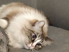 -白兔子密室(长寿路店)