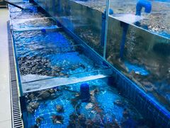 水产区-必点蒸汽海鲜(止锚湾店)