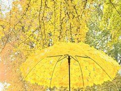 -康熙养生SPA·轻奢足道(江宁万达店)