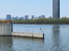 -长白岛森林公园