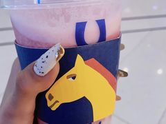 -春丽小马(济南恒隆广场店)