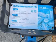 -南汇新城城市公园