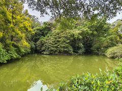 -人民公园(罗湖区)