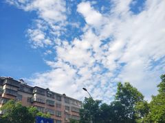 -栖凤渡杨婆鱼粉(苏仙传奇店)