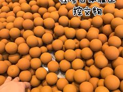 -上海崧泽遗址博物馆
