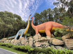 -森波拉奇妙世界