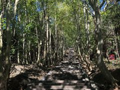 -窦圌山风景区