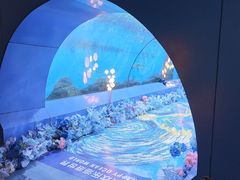 -重庆欢乐海底世界