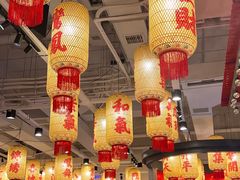 -朱光玉火锅馆(正弘城店)