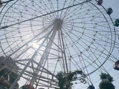 -花博汇(知音花月夜)